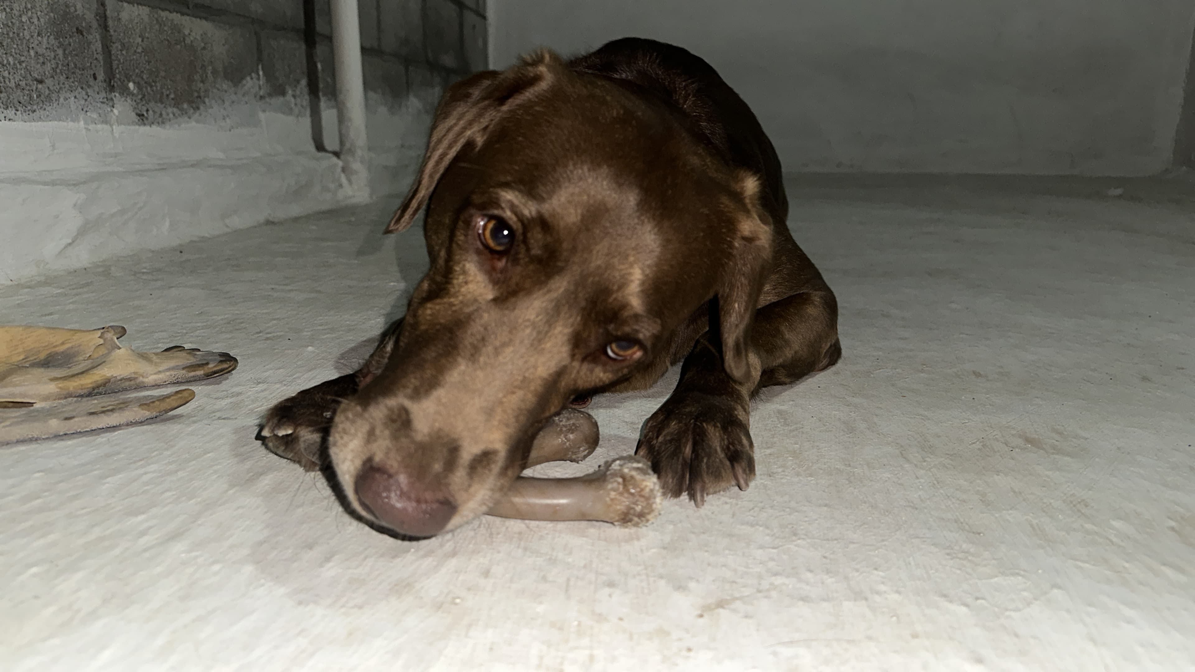 Abstract layout design